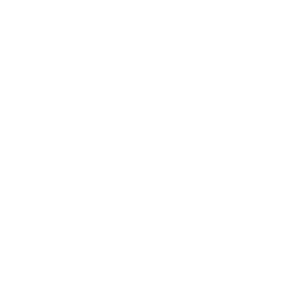 HP_L1_RVS