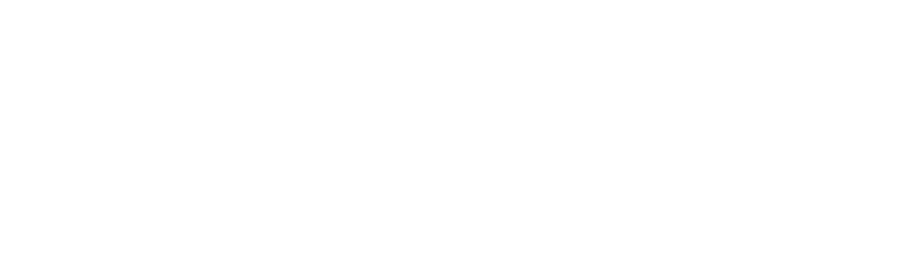 logo zebrix white