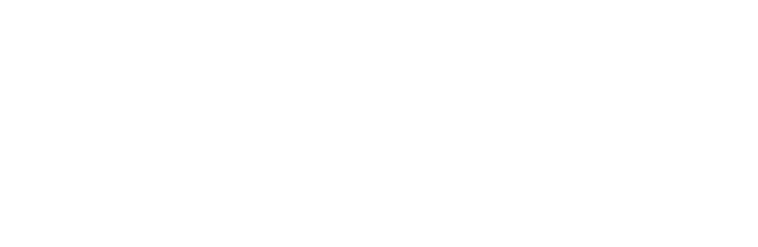 MS-Teams_logo_horiz_white_rgb
